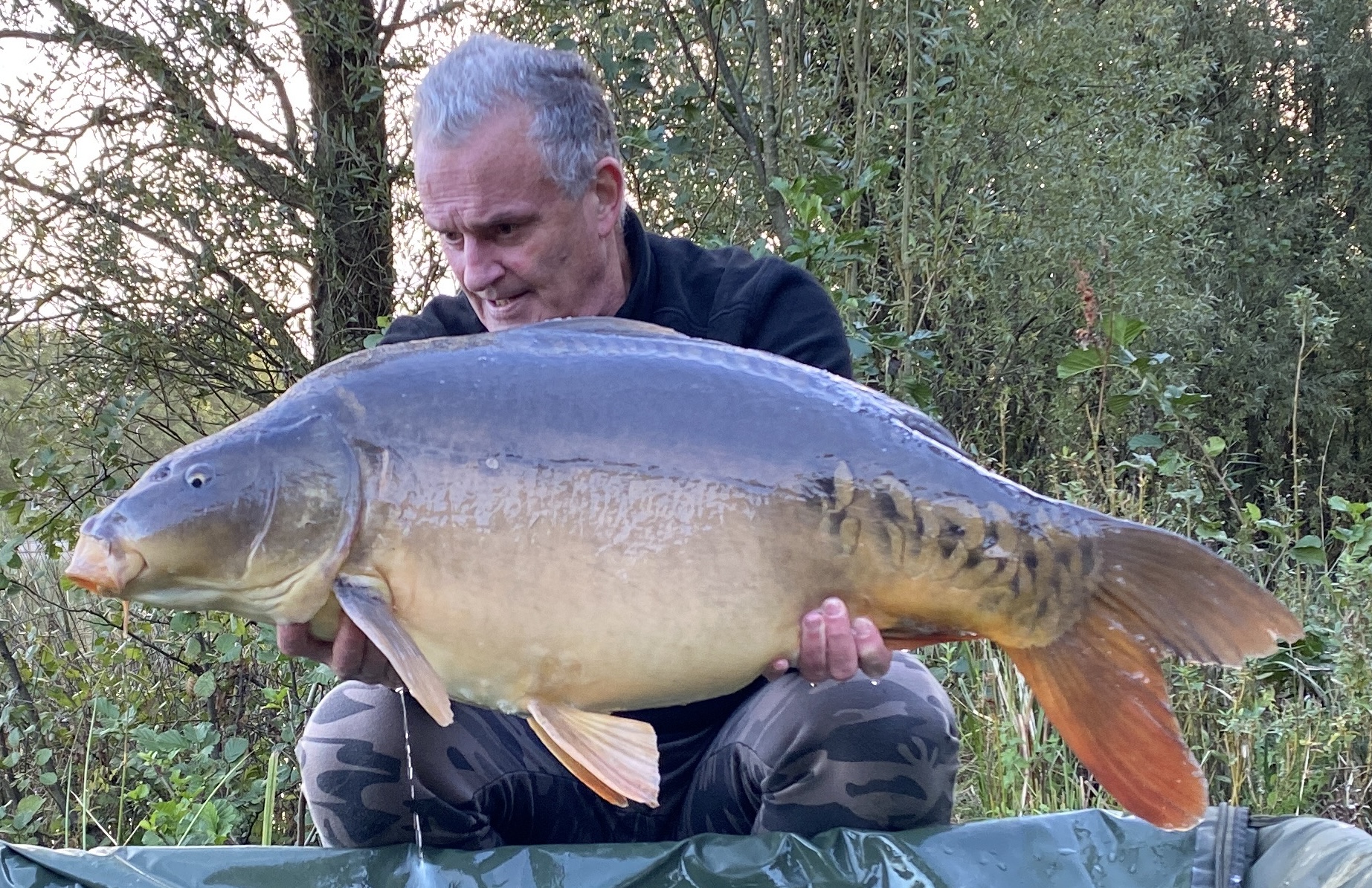 Spiegelkarper van 15,5 kg en 86 cm